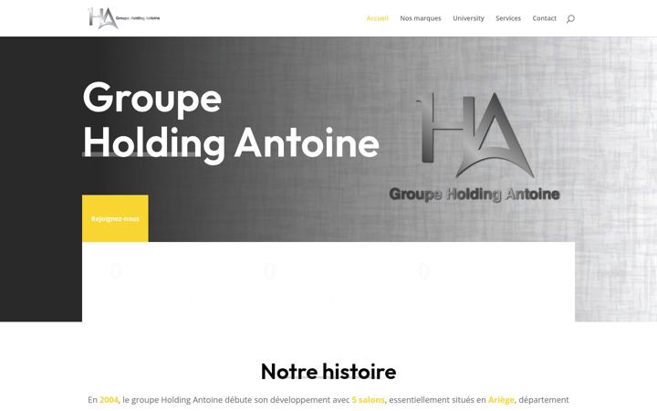 Screenshot of holdingantoine.fr