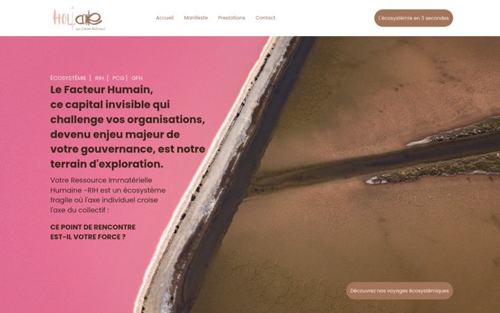 Screenshot of holicone.fr