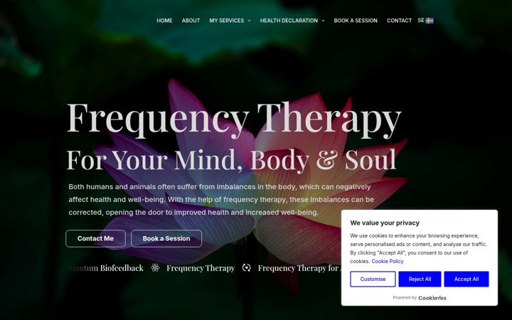 Screenshot of holisticfrequency.net