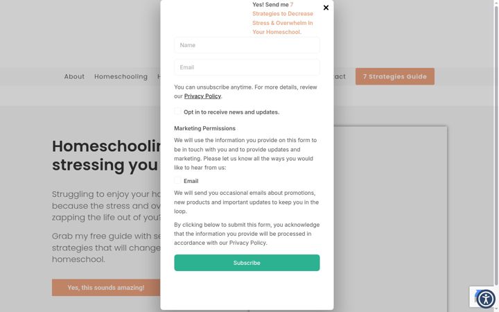 Екранна снимка на holistichomeschoolmom.com