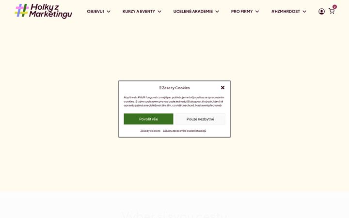 Screenshot of holkyzmarketingu.cz