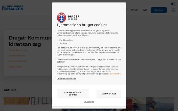 Screenshot of hollaenderhallen.dk
