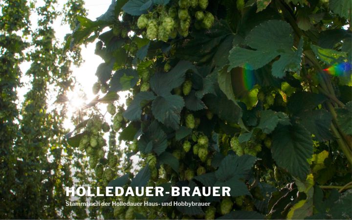 Captură de ecran a holledauer-brauer.de
