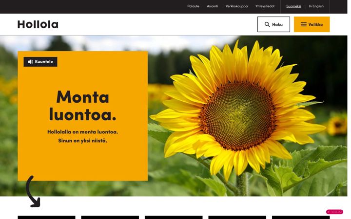 Screenshot of hollola.fi
