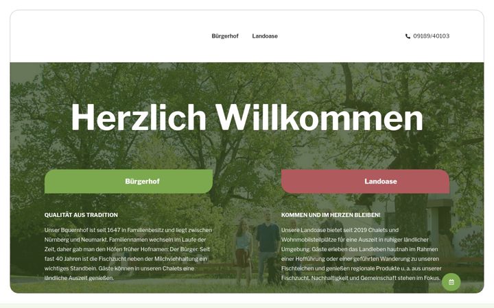 Screenshot of hollwecks.com