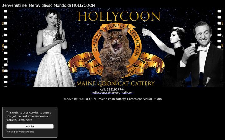 Screenshot of hollycoon.it