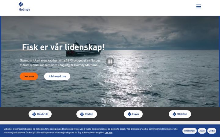Screenshot of holmoy.no