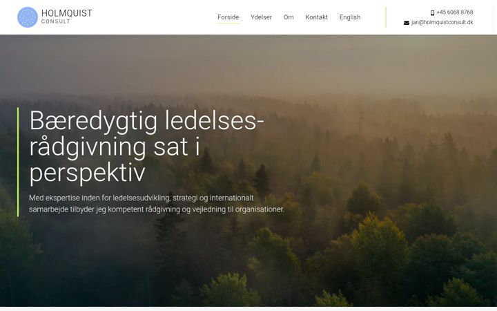 Ekrano kopija holmquistconsult.dk