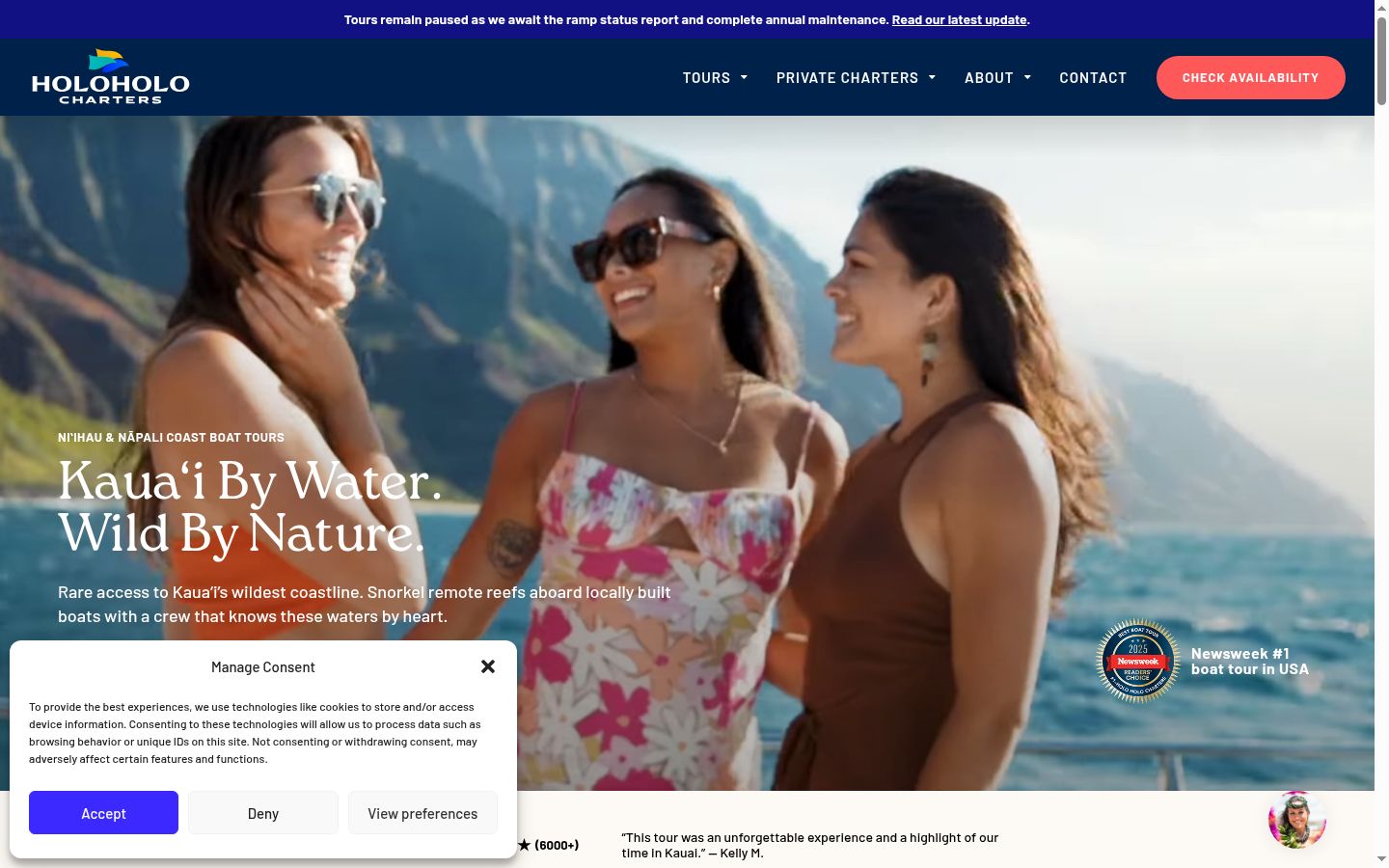 Screenshot of the consent banner shown before any interaction