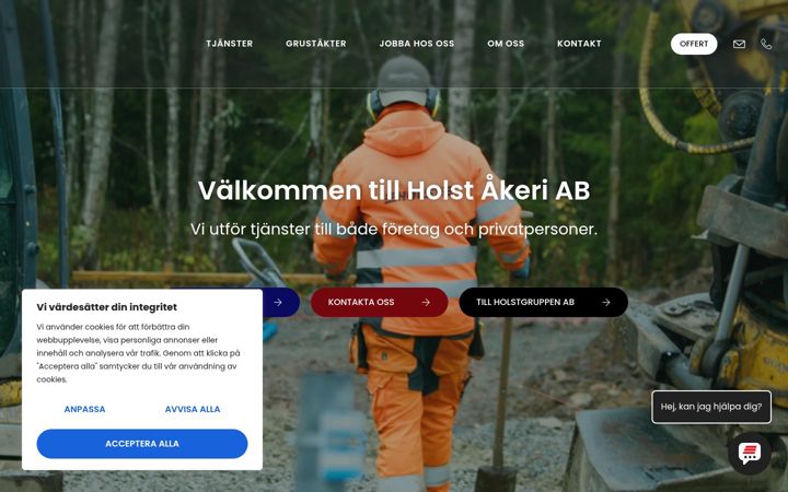 Screenshot of holstakeri.com