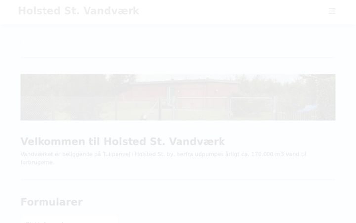 Screenshot of holsted-st-vand.dk