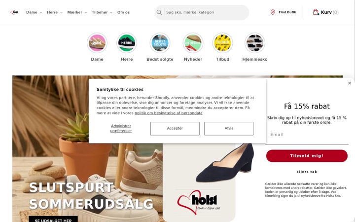 Screenshot of holstsko.dk