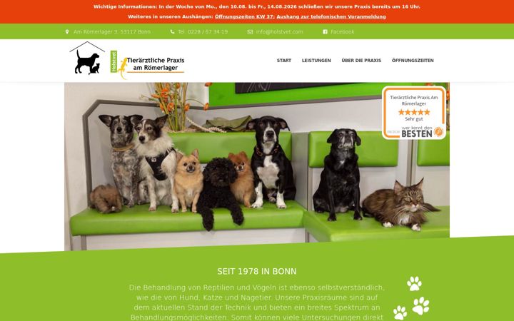 Screenshot of holstvet.com