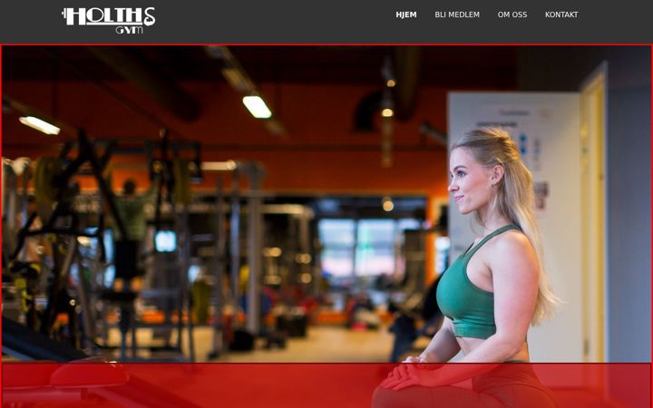 Screenshot of holthsgym.no