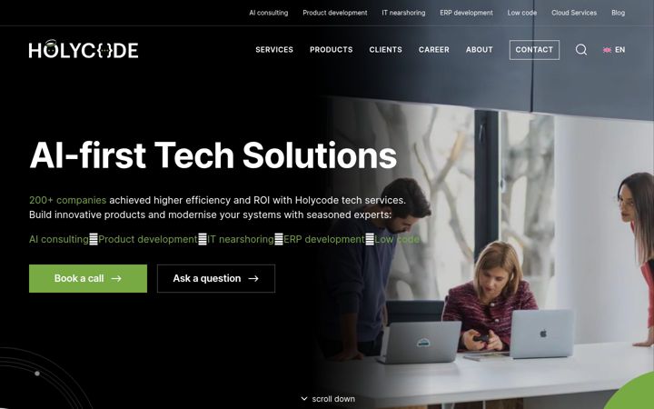Screenshot of holycode.com