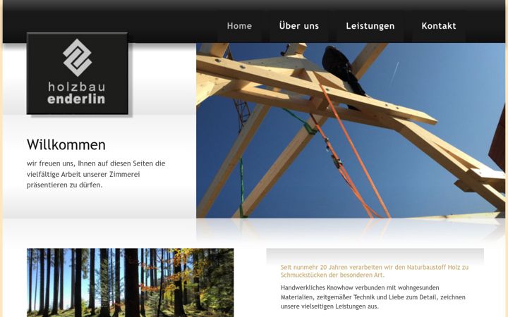 Screenshot of holzbau-enderlin.de
