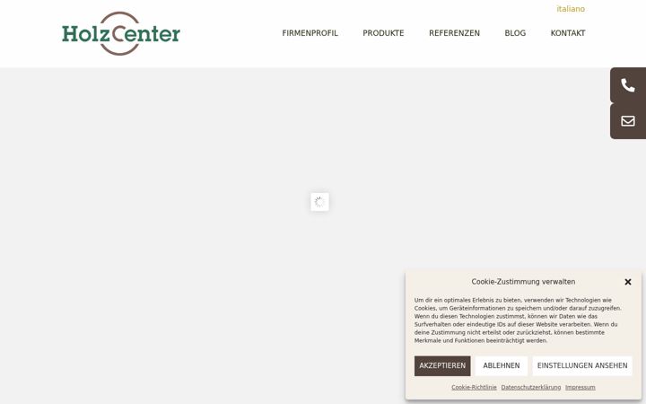 Screenshot of holzcenter.it