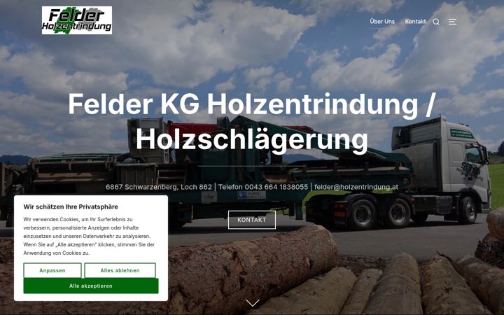 Screenshot of holzentrindung.at