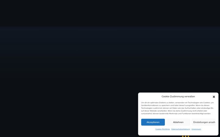 Screenshot of holzerit.de