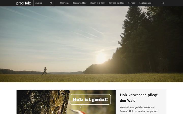 Screenshot of holzistgenial.at