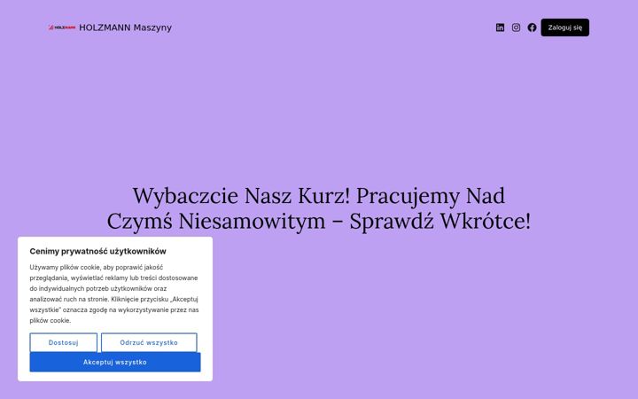 Screenshot of holzmann.com.pl