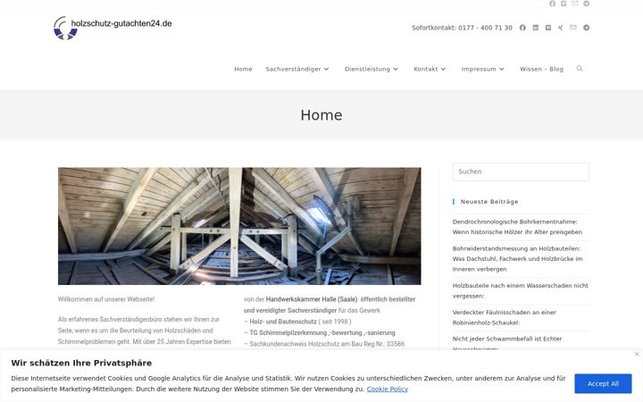 Screenshot of holzschutz-gutachten24.de
