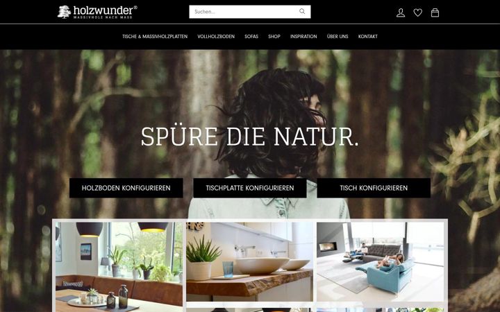 Screenshot of holzwunder.at