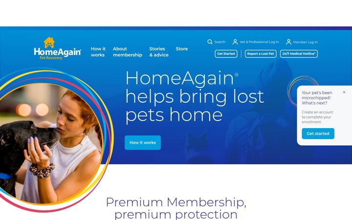 Kuvakaappaus sivustosta homeagain.com
