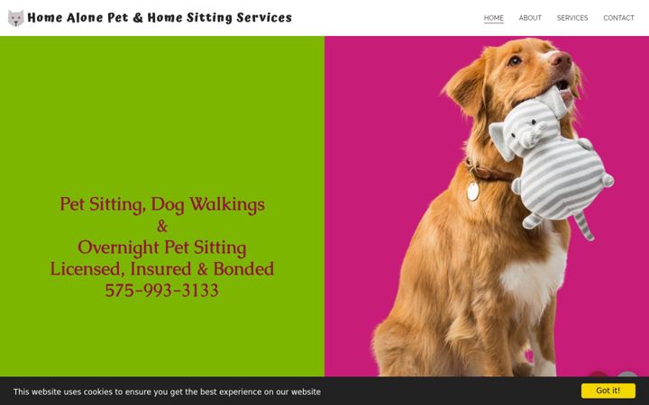 Screenshot of homealonepetandhomesitting.com