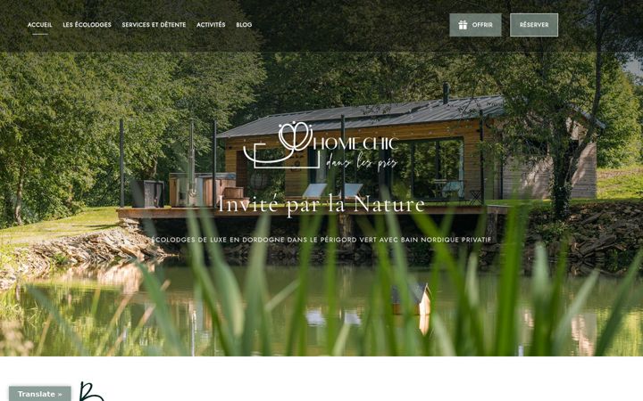 Screenshot of homechicdanslespres.fr