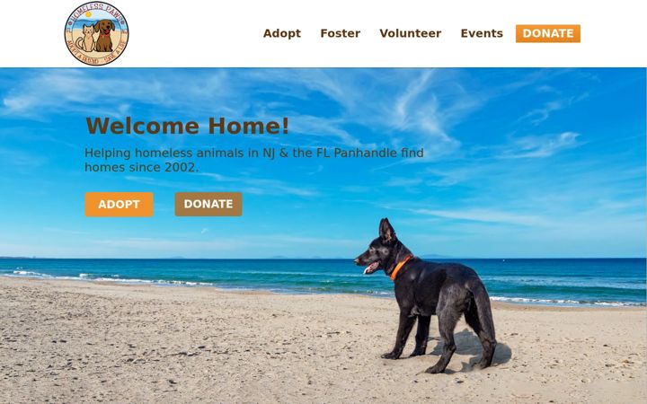 Screenshot of homelesspawsnj.org