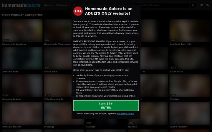 Screenshot von homemadegalore.com