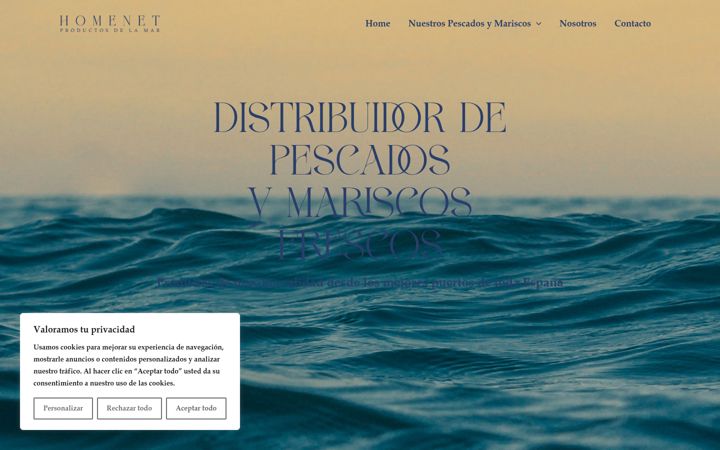 Screenshot of homenetalicante.es