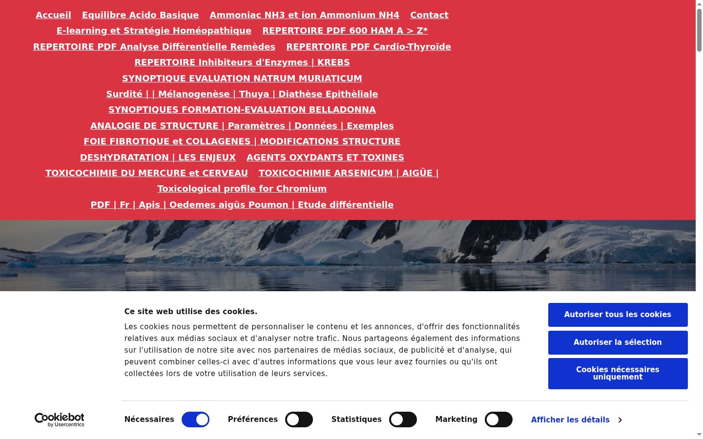 Screenshot van de toestemmingsbanner zoals getoond vóór enige interactie