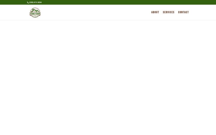 Screenshot of hometowngutterservices.com