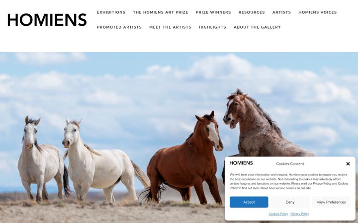 Screenshot of homiens.com