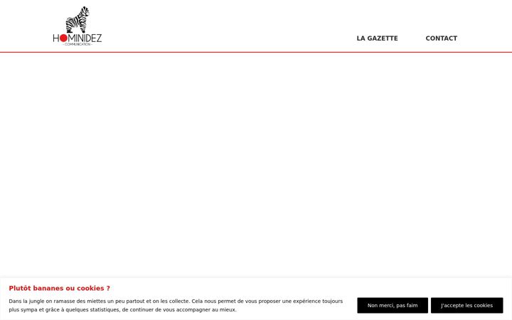 Screenshot of hominidez.fr