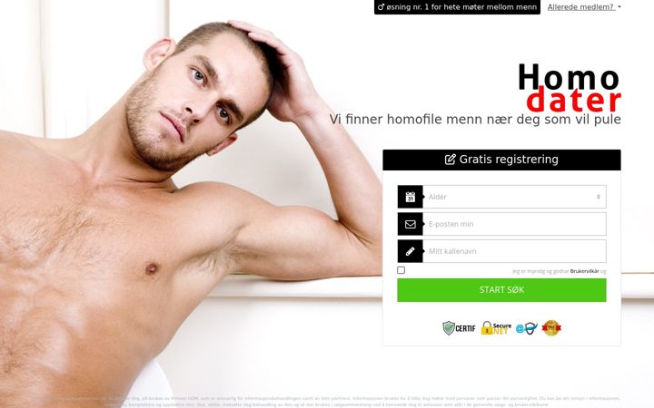 Screenshot of homodater.com