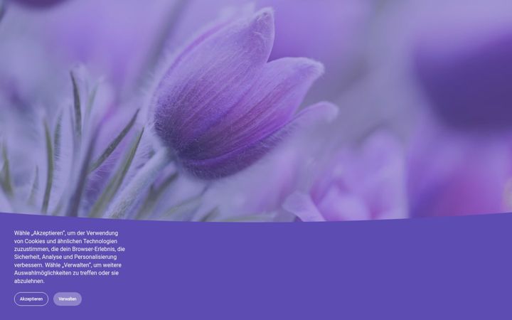 Capture d'écran de homoeopathie-raeber.ch