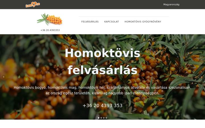 Screenshot of homoktovisfelvasarlas.hu