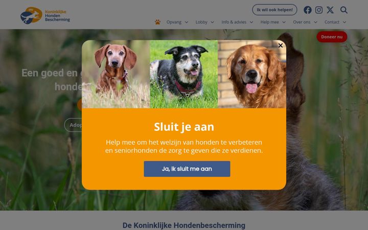 Screenshot of hondenbescherming.nl