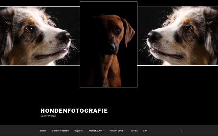 Screenshot of hondenfotografie.com