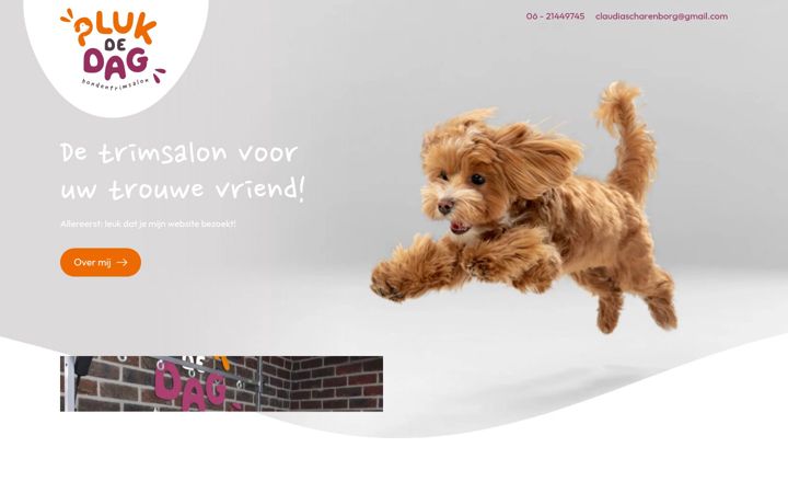 Screenshot of hondentrimsalonpdd.nl