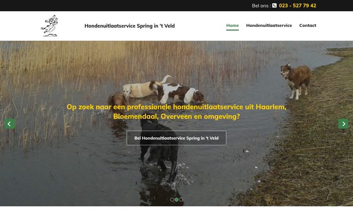 Screenshot of hondenuitlaatservicespringintveld.nl