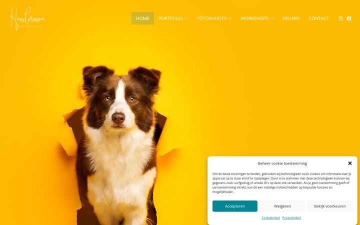 Screenshot of hondermooi.be