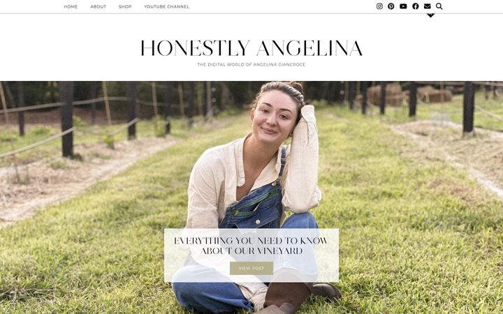 Screenshot of honestlyangelina.com