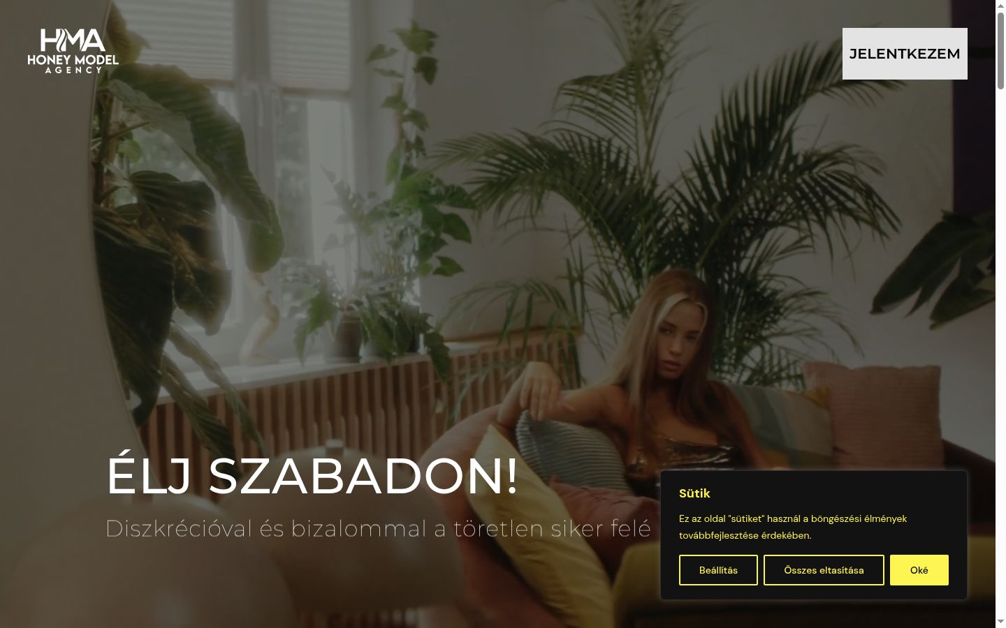 Snimka zaslona bannera za privolu prikazanog prije bilo kakve interakcije