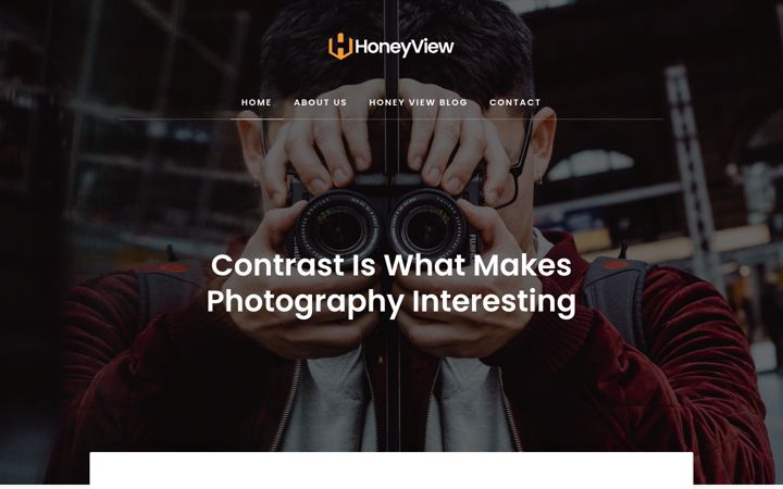 Screenshot of honeyview.org