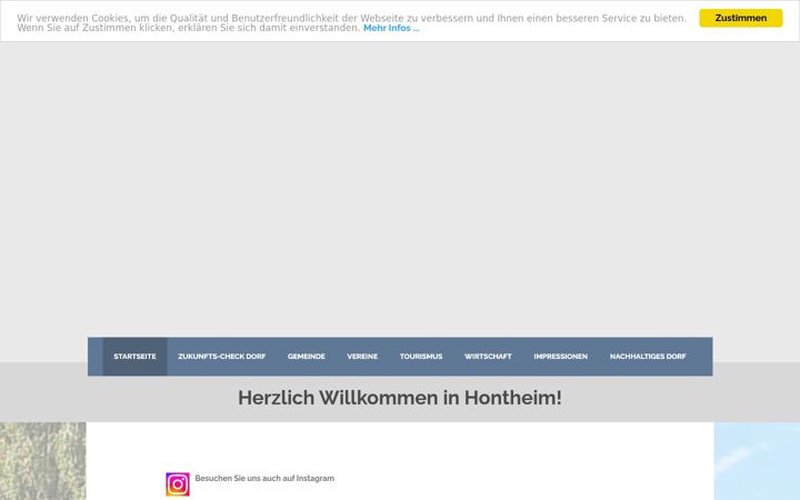 Screenshot of hontheim.de