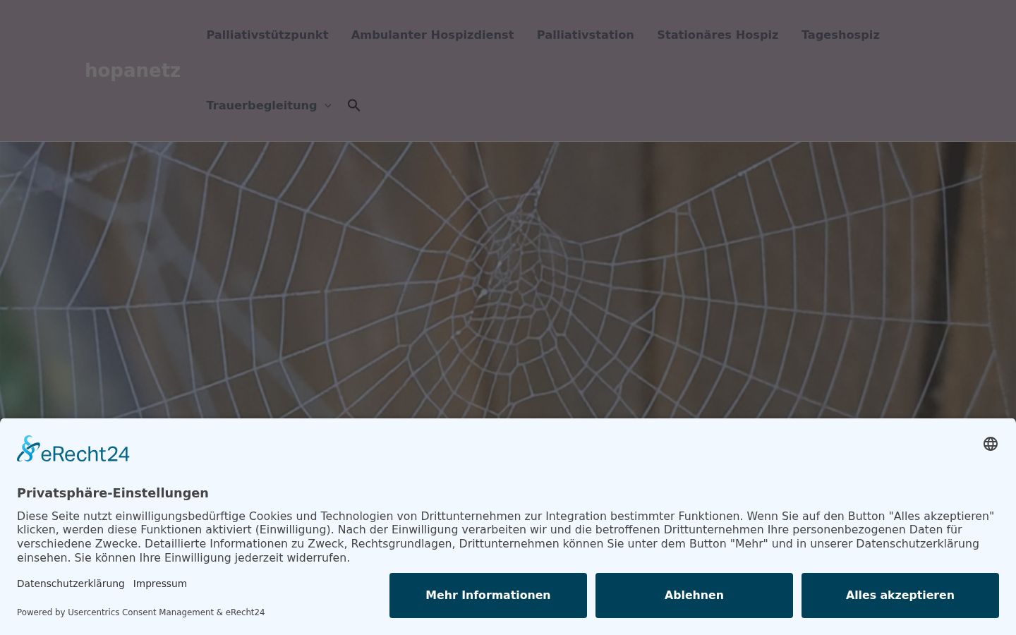 Screenshot des Einwilligungsbanners vor jeglicher Interaktion